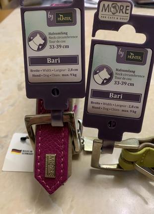 Ошейник та поводок