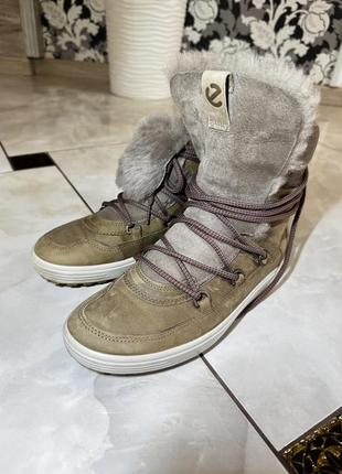 Ботинки ecco, жіночі