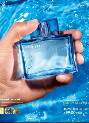 Чоловіча туалетна вода excite for him