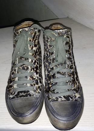 Candice cooper(италия)- современные кожаные кеды р. 37(24 см)