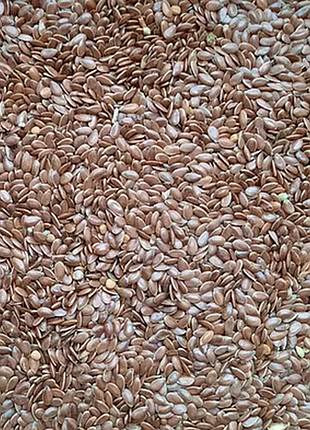 Семена льна 1 кг