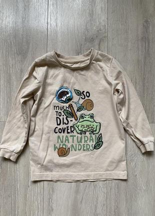 🫥реглан 2-3 роки хлопчик