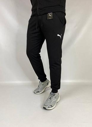 Чоловічі спортивні штани puma