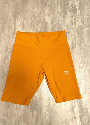 Велосипедки adidas