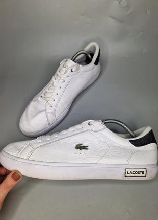 Кроссовки lacoste