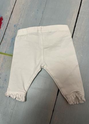 Лосины 3,4 кг 4