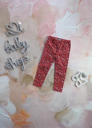 Вельветовые лосины