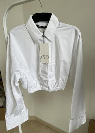 Комплект, сорочка блузка рубашка укорочена zara
