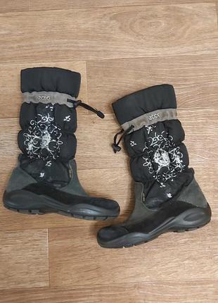 Сапоги ecco
