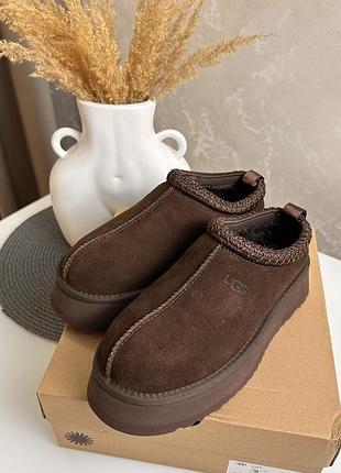 Ugg tazz угг уггі