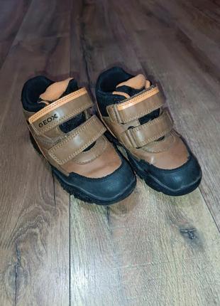 Чобітки дитячі демісезонні geox