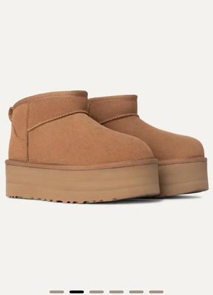 Взуття жіноче ugg classic ultra mini platform