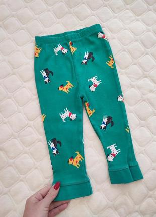 Штани на хлопчика. штанята. джогери