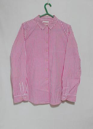 Рубашка бело-розовая полоска 'maison scotch' 42-44р2 фото