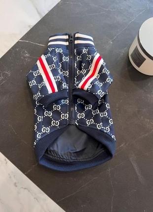 Брендовая элластиковая ветровка для собак gucci на змейке под горло с белыми значками, синяя
