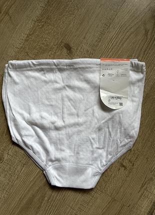 Трусики(3шт) speedel