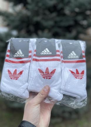 Високі жіночі  шкарпетки adidas червоні