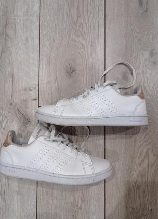 Кроссовки мужские adidas 43 г.