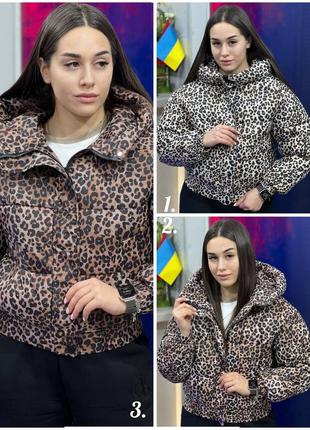Демисезонная женская куртка 42, 44, 46 - 761502)