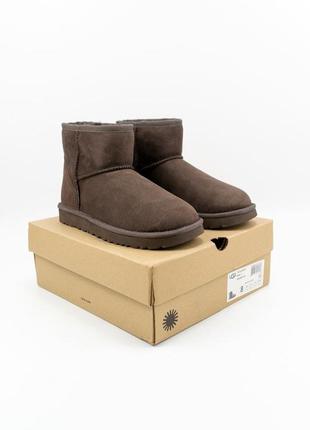 Жіночі коричневі уггі ugg classic mini chocolate