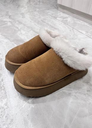 Уги тапки шльопанці на хутрі steve madden
