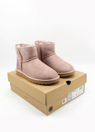 Женские розовые угги ugg w classic mini pink