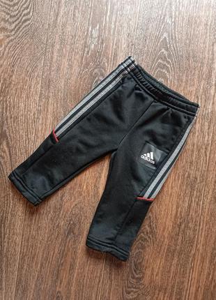 Штани adidas