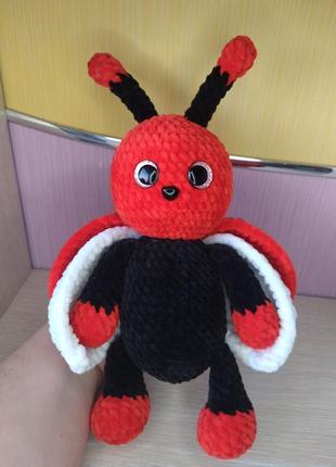 Жук 🐞 сонечко