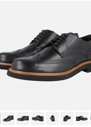 Мужские туфли броги tod's