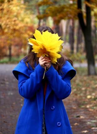 Пальто осіннє, з утеплювачем капюшоном весняне осіннє