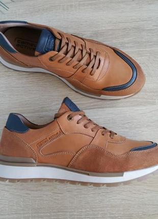 Кросівки camel active