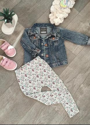 Набір лосіни рубчик + джинсовка 12-18 міс