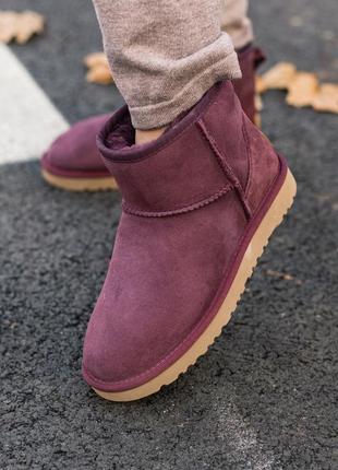 Жіночі бордові уггі ugg classic mini ii boot