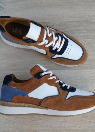 Кросівки camel active