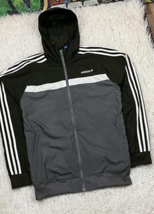Олімпійка adidas p.xl