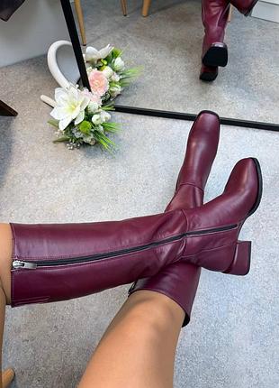 Зручні бордові чоботи belucci натуральна шкіра замш зима демі