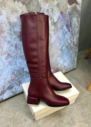 Зручні бордові чоботи belucci натуральна шкіра замш зима демі