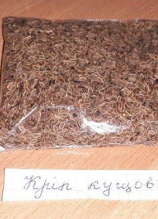 Насіння кріп кущовий виробник польща .