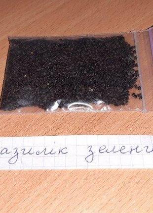 Семена базилик зеленый производитель польшы