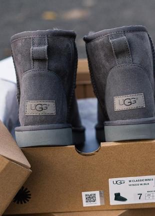 Сапоги женские ugg уги4 фото