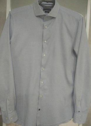 Мужская рубашка tommy hilfiger голубая