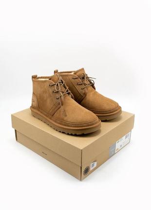 Уги ugg neumel “chestnut” угги1 фото