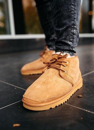 Уги ugg neumel “chestnut” угги7 фото