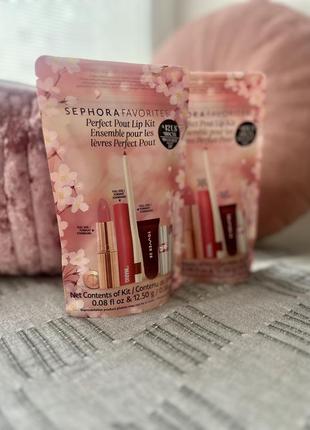 Perfect pout lip kit ( ysl, charlotte tilbury, rare beauty, makeup by mario , towel)