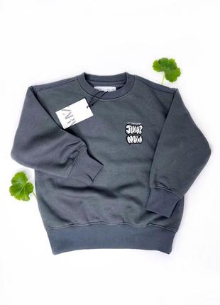 Детский свитшот на мальчика zara