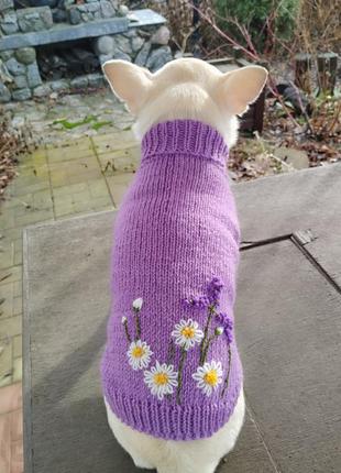 Светр на собачку