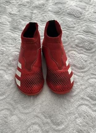 Сорокожки adidas