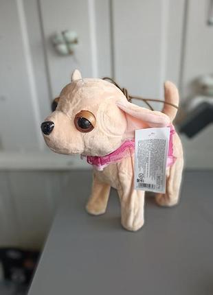 Собачка на пульте