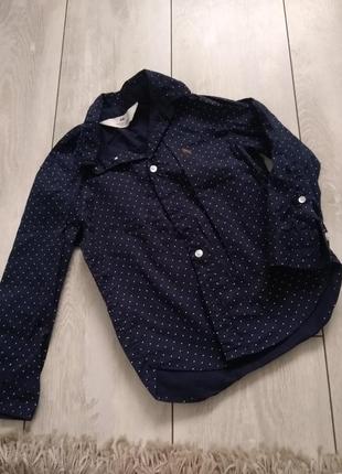 Праздничная рубашка для мальчика