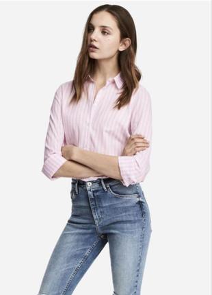 Рубашка белая в розовую полоску